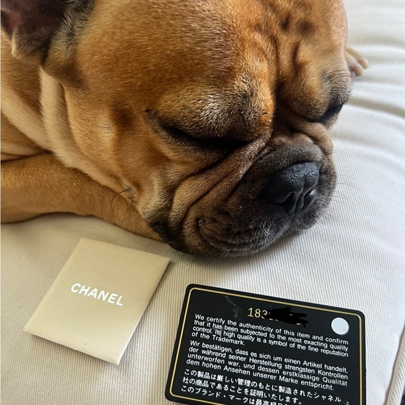 💯 Authentic Chanel Off White Cream XL Le Boy - Picture 3 of 14